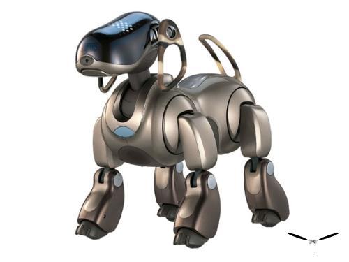 Aibo_1